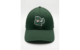 CASQUETTE OFFICIEL RAZORBACKS